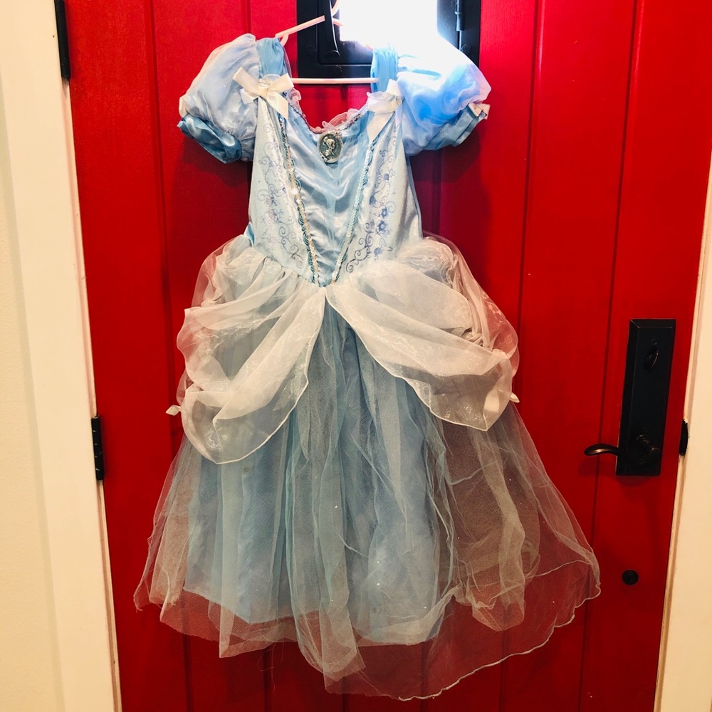 Cinderella costume